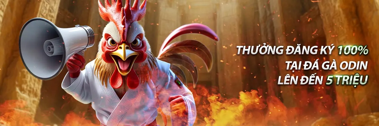 Hình ảnh chính về chiến lược đặt cược đá gà trực tiếp
