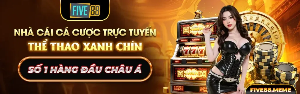 Người chơi đang phân tích chiến lược cá cược
